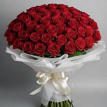 Букет 101 Красная роза Блэк Мэджик в Выселках