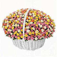 Премиум букет из: Розы в Выселках