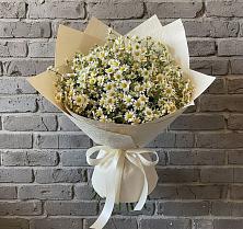 Букет цветов из:  Ромашки #REPLACE_PRED# Выселках