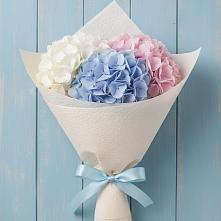 Букет цветов из:  Гортензия #REPLACE_PRED# Выселках