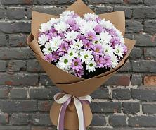 Букет цветов из:  Хризантемы #REPLACE_PRED# Выселках