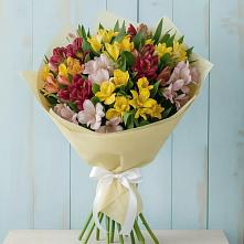 Букет цветов из:  Альстромерии #REPLACE_PRED# Выселках