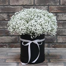 Цветочная композиция из Гипсофила в шляпной коробке #REPLACE_PRED# Выселках