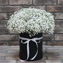Цветочная композиция из Гипсофила в шляпной коробке в Выселках