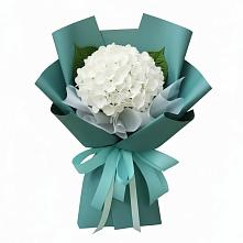 Букет цветов из:  Гортензия в Выселках